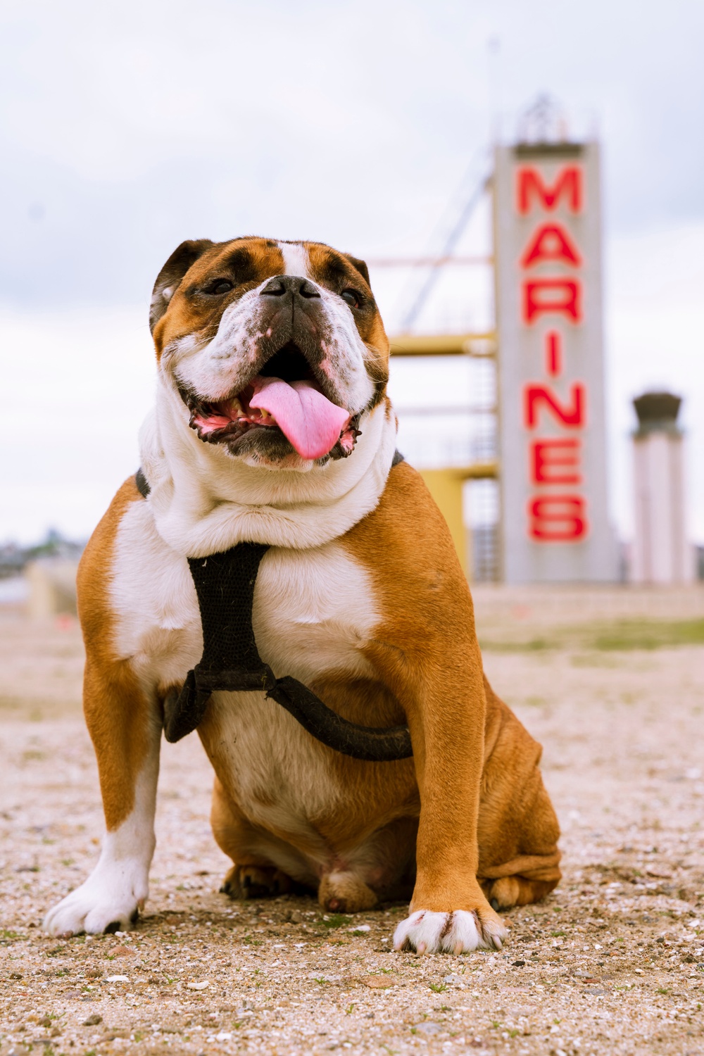 Manny Monday!