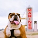 Manny Monday!