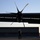 U.S, Japan perform large-scale airborne exercise