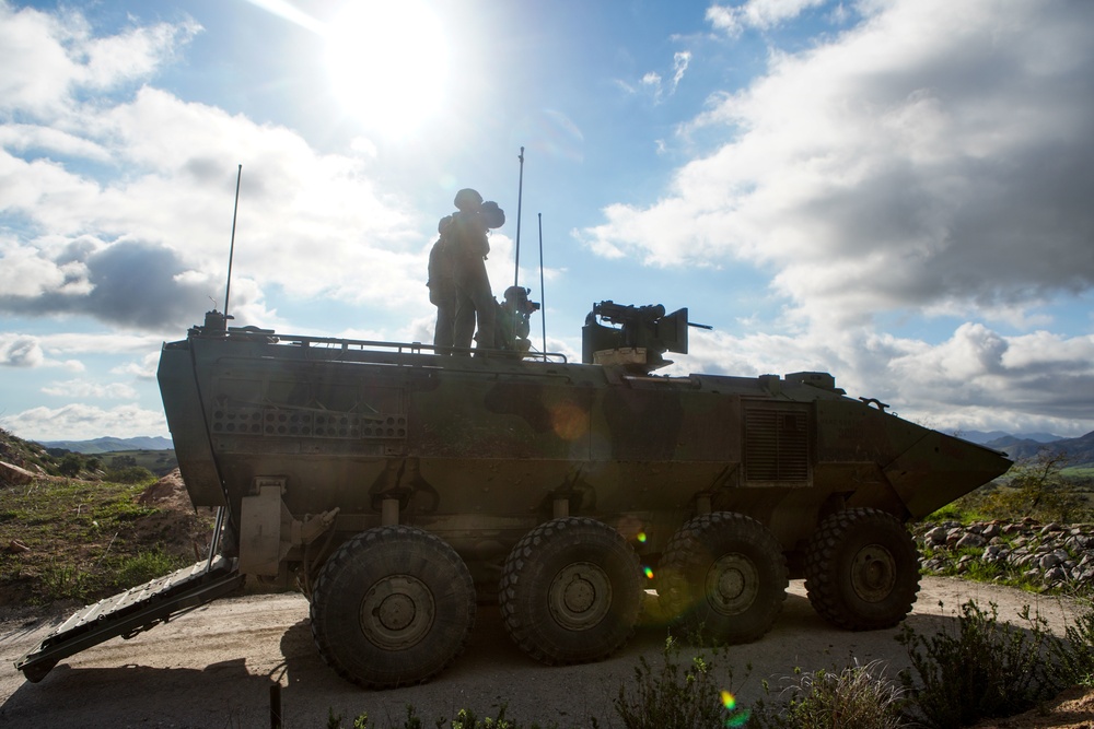 Iron Fist 2022: 3rd Assault Amphibian Battalion Marines conduct static live-fire