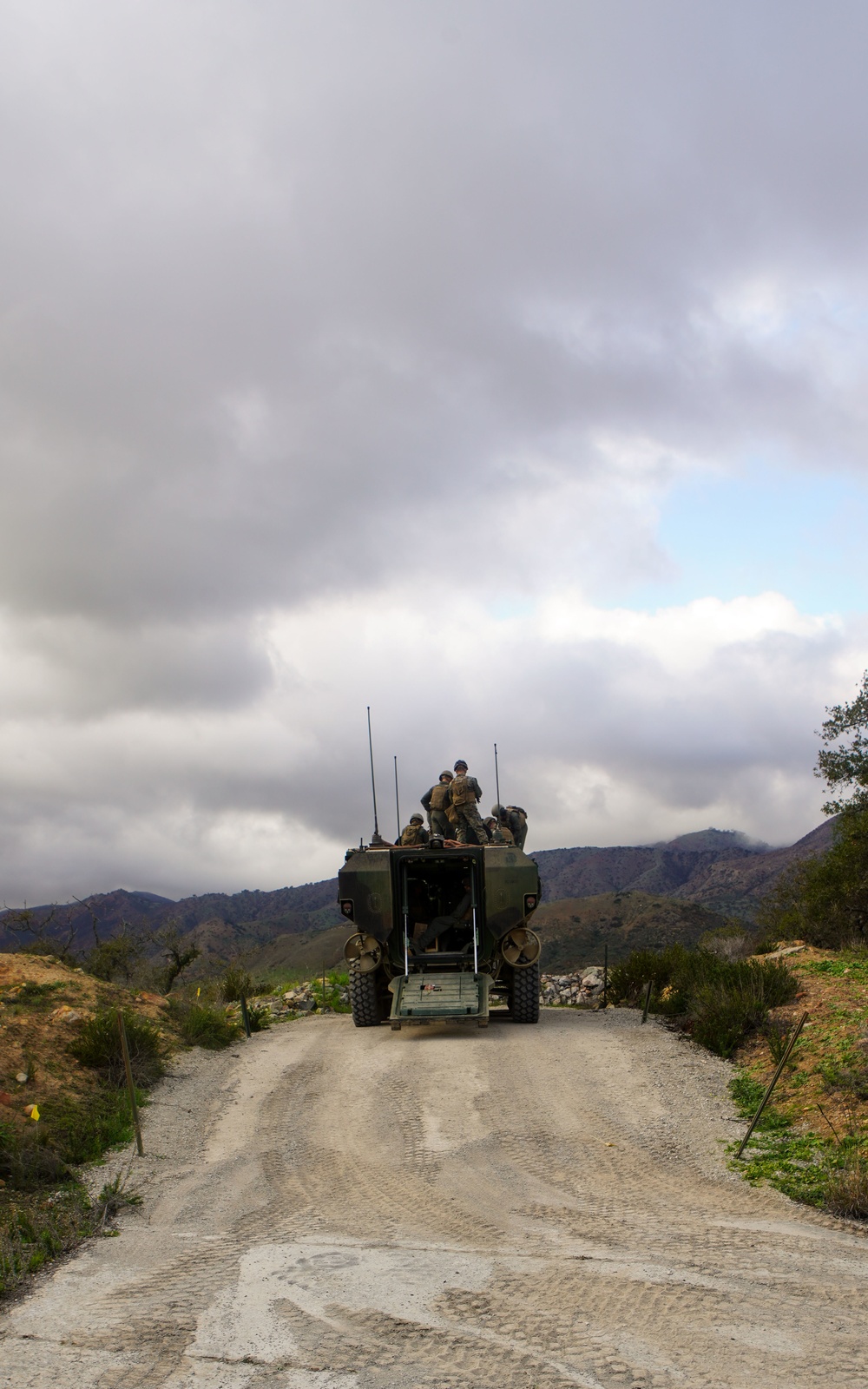 Iron Fist 2022: 3rd Assault Amphibian Battalion Marines conduct static live-fire