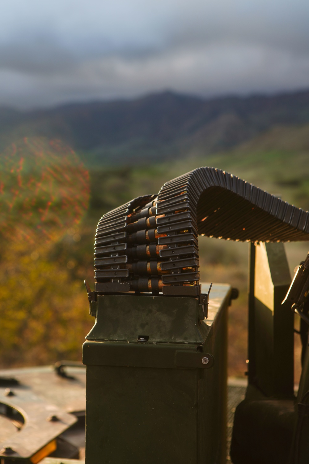 Iron Fist 2022: 3rd Assault Amphibian Battalion Marines conduct static live-fire