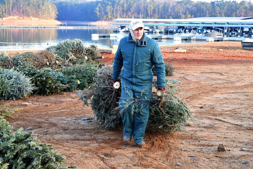 Allatoona Christmas Tree Program Helps Fish and the Environment