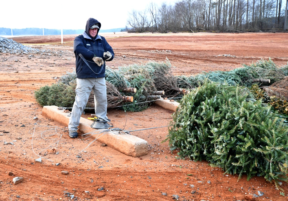 Allatoona Christmas Tree Program Helps Fish and the Environment