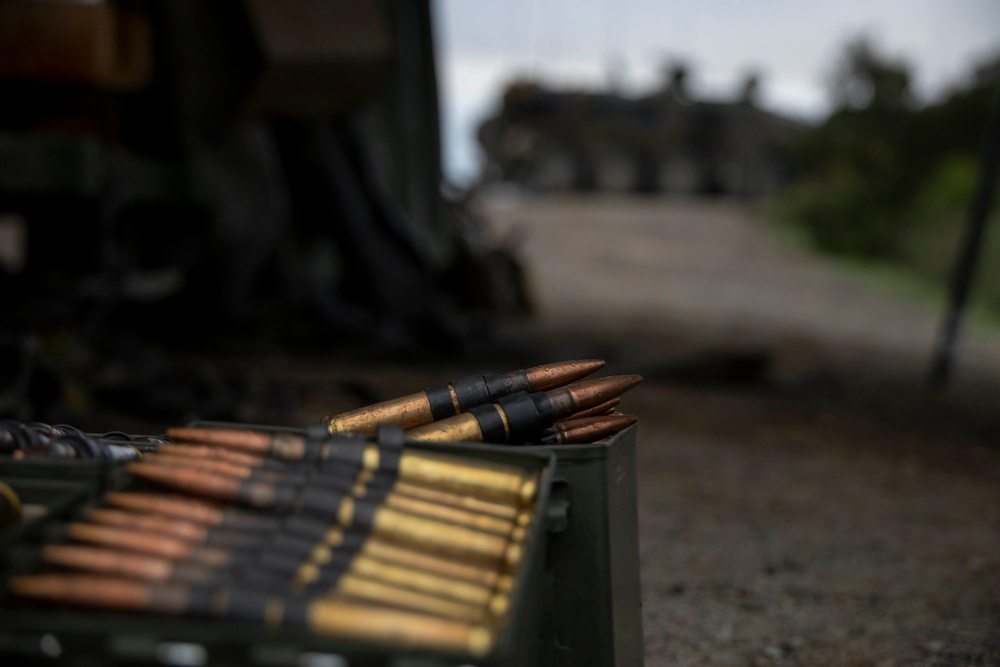 Iron Fist 2022: 3rd Assault Amphibian Battalion Marines conduct live-fire range
