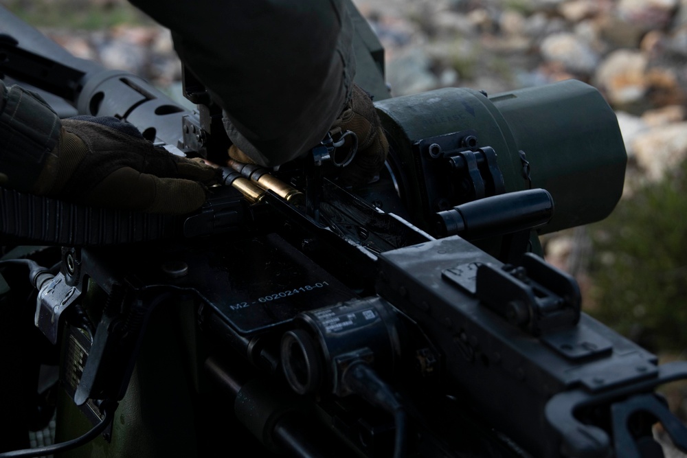 Iron Fist 2022: 3rd Assault Amphibian Battalion Marines conduct live-fire range