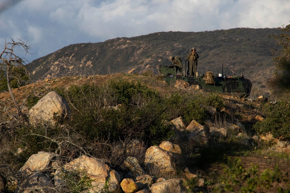 Iron Fist 2022: 3rd Assault Amphibian Battalion Marines conduct live-fire range