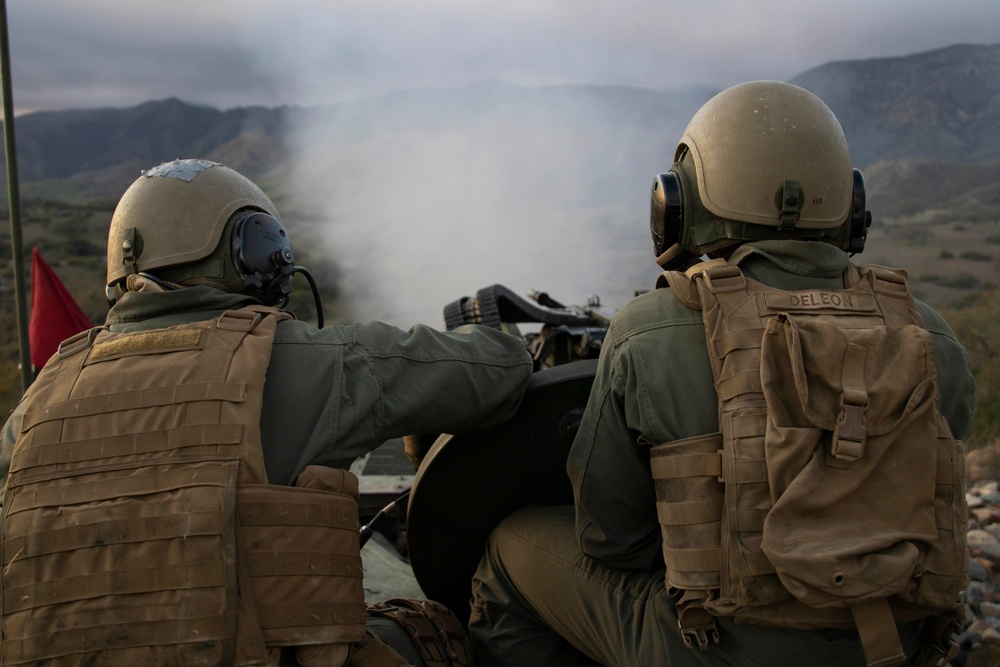 Iron Fist 2022: 3rd Assault Amphibian Battalion Marines conduct live-fire range
