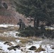 Allied forces conduct fierce simulated battle at Allied Spirit 22