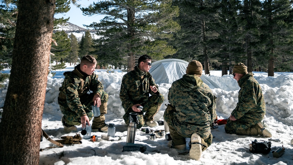 3/3 Marines Conduct MTX 2-22: Mobility