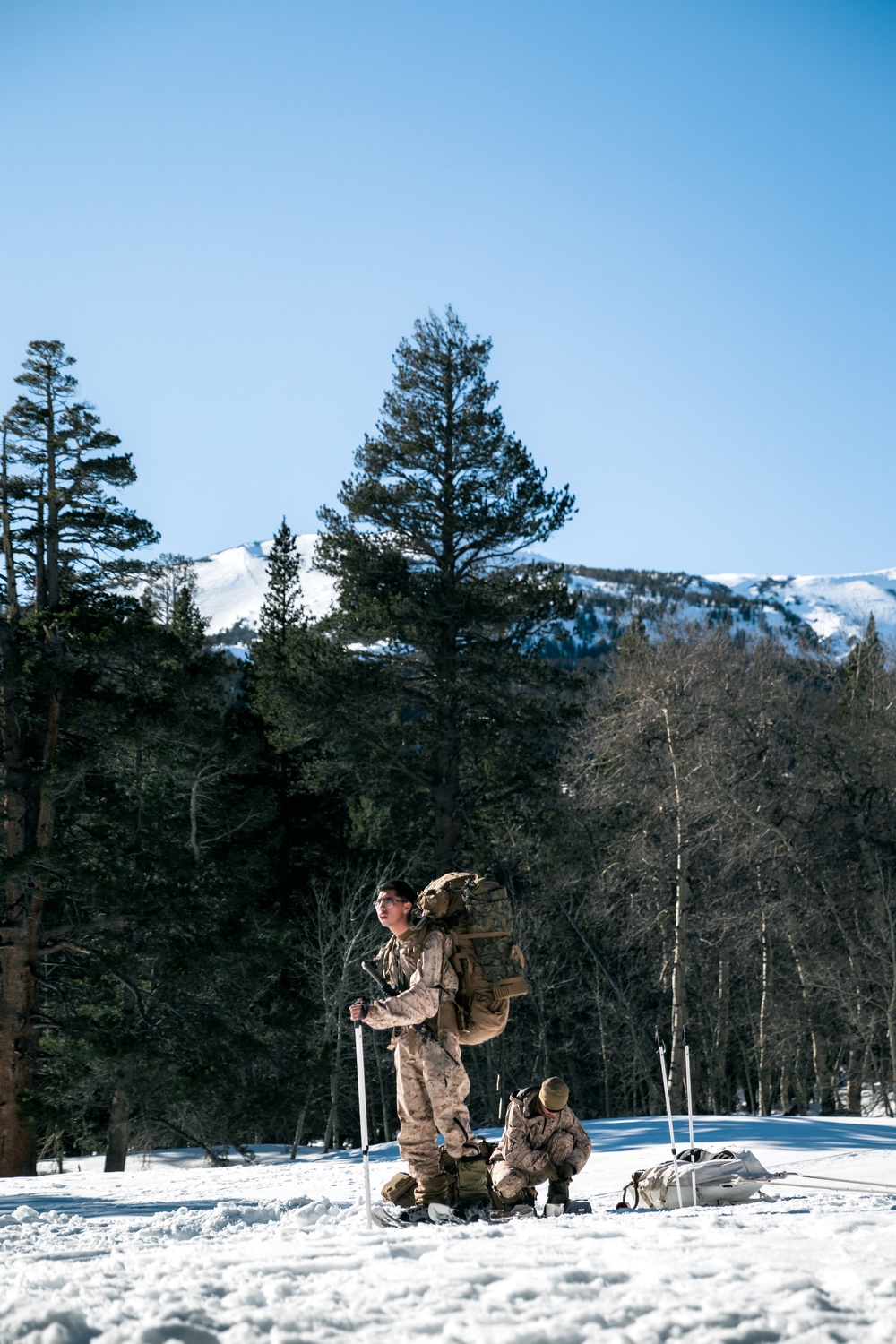 3/3 Marines Conduct MTX 2-22: Mobility