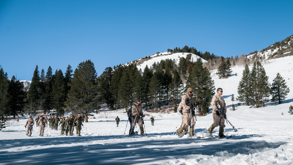 3/3 Marines Conduct MTX 2-22: Mobility