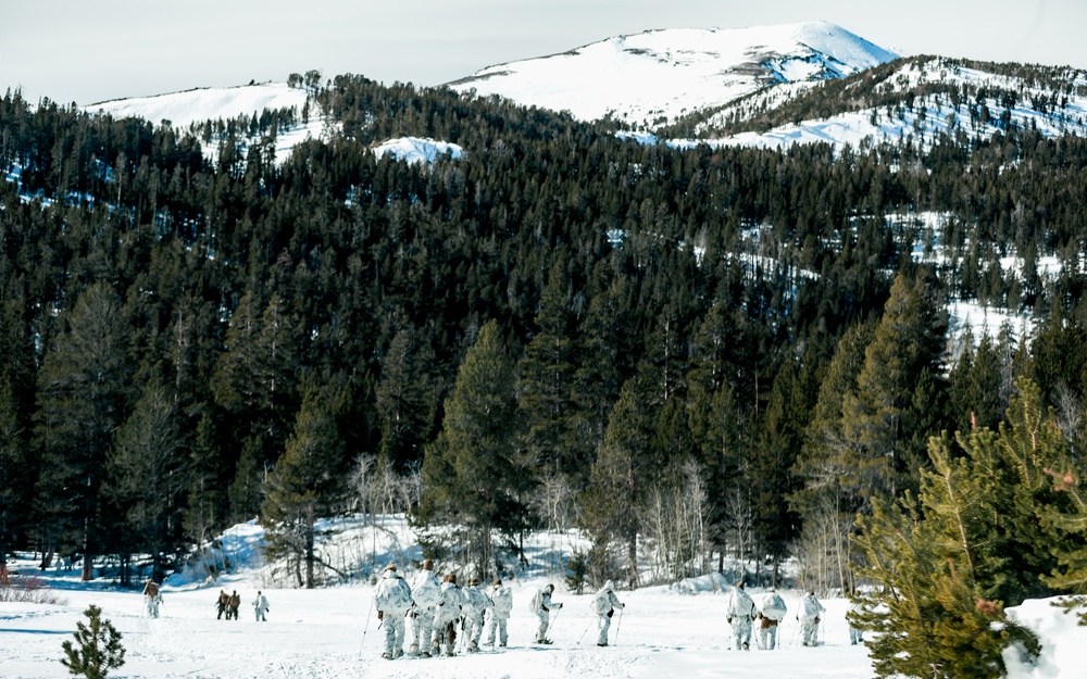 3/3 Marines Conduct MTX 2-22: Mobility