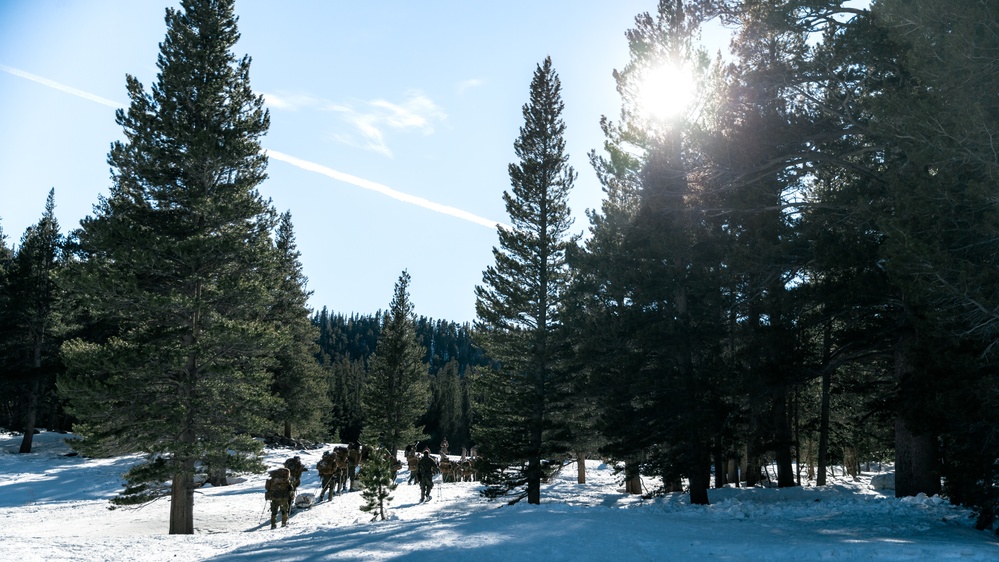 3/3 Marines Conduct MTX 2-22: Mobility