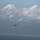 U.S., Japan perform large-scale airborne exercise U.S., Japan perform large-scale airborne exercise
