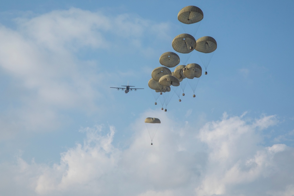 U.S., Japan perform large-scale airborne exercise