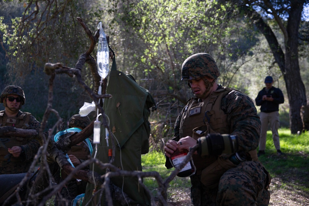 1st Medical Battalion Role 2 Light Maneuver Training