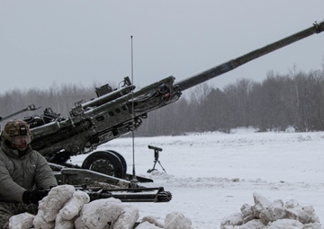 Field Artillery security