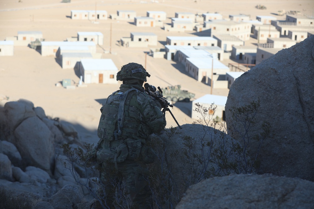 Bayonet Soldiers conduct training at NTC