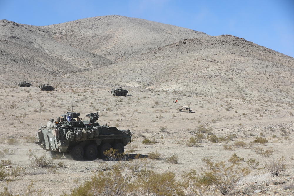 Bayonet Soldiers conduct training at NTC