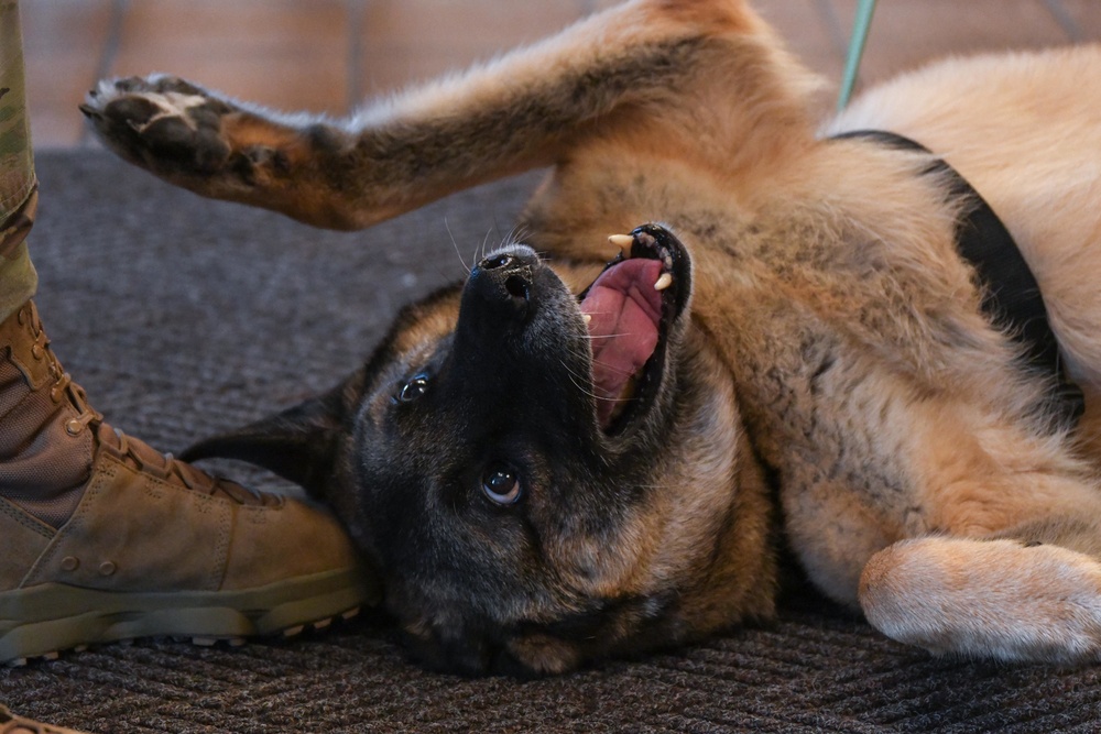 MWD Lord Retirement Ceremony