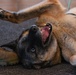 MWD Lord Retirement Ceremony