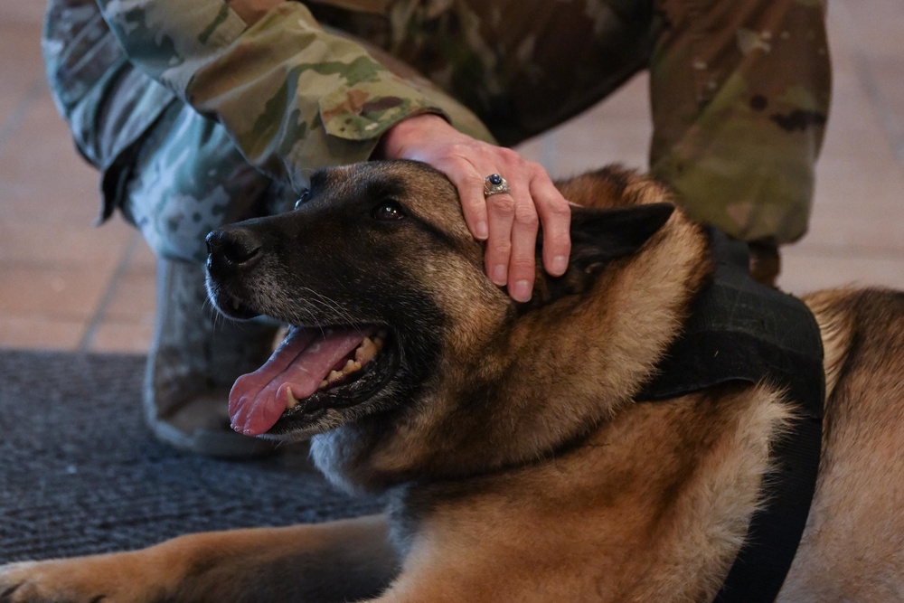 DVIDS - News - Military Working Dog retires after nine years of ...