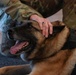 MWD Lord Retirement Ceremony