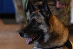 MWD Lord Retirement Ceremony