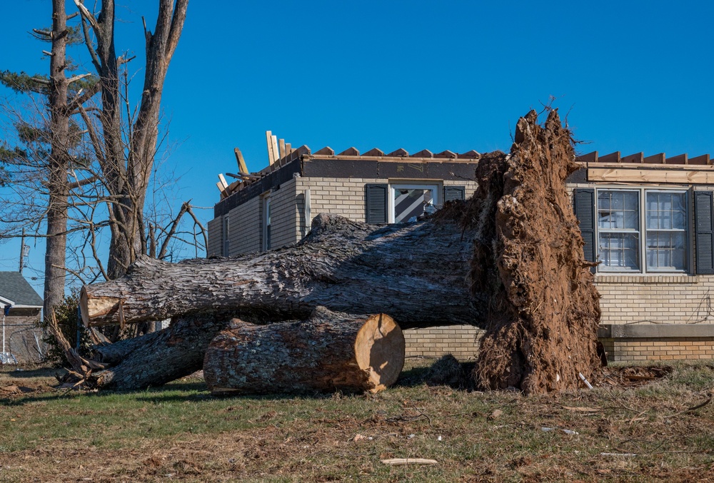 Tornado Damage in Bowling Green, KY