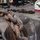 USS Ronald Reagan (CVN 76) Anchor Chain Release