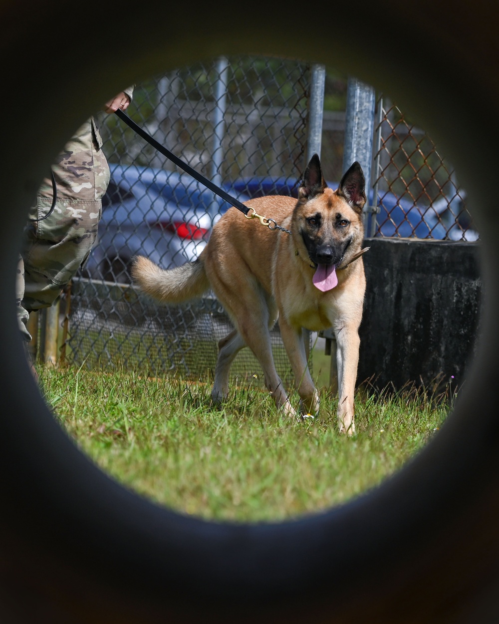 36 SFS preforms MWD demo during Pacific Defender