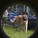 36 SFS preforms MWD demo during Pacific Defender