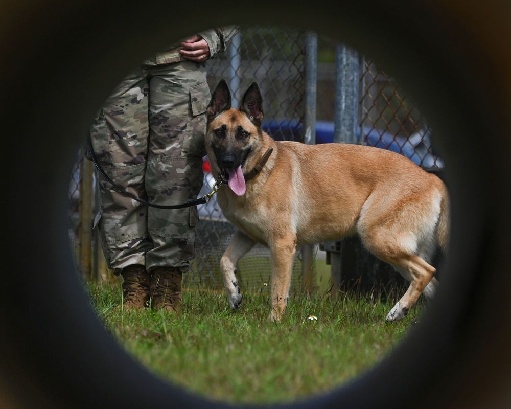 36 SFS preforms MWD demo during Pacific Defender