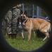 36 SFS preforms MWD demo during Pacific Defender
