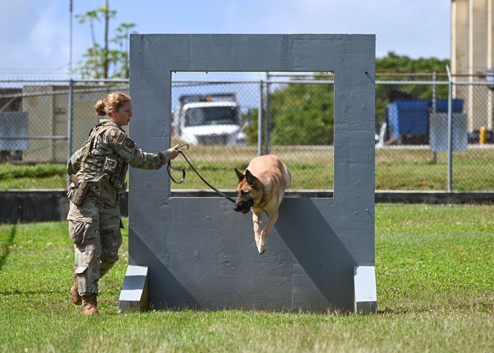 36 SFS preforms MWD demo during Pacific Defender