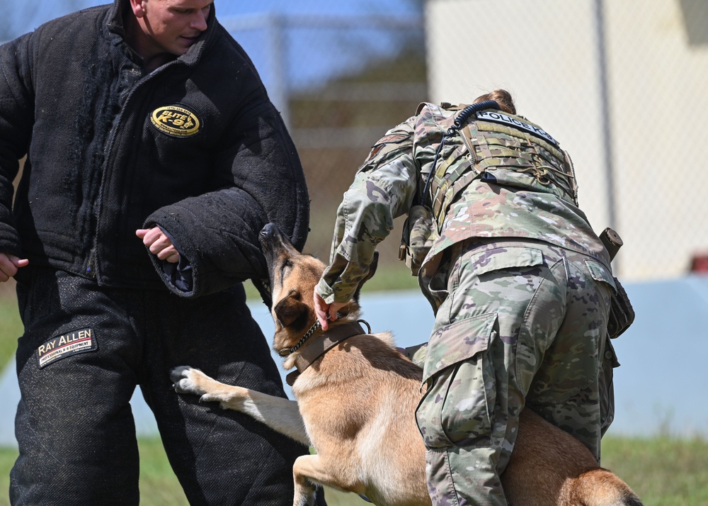 36 SFS preforms MWD demo during Pacific Defender