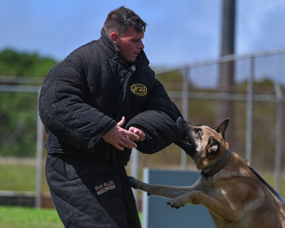 36 SFS preforms MWD demo during Pacific Defender