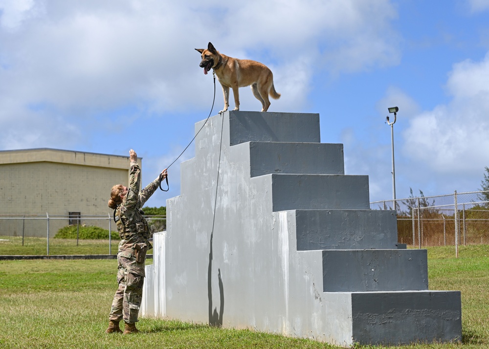 36 SFS preforms MWD demo during Pacific Defender