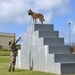 36 SFS preforms MWD demo during Pacific Defender