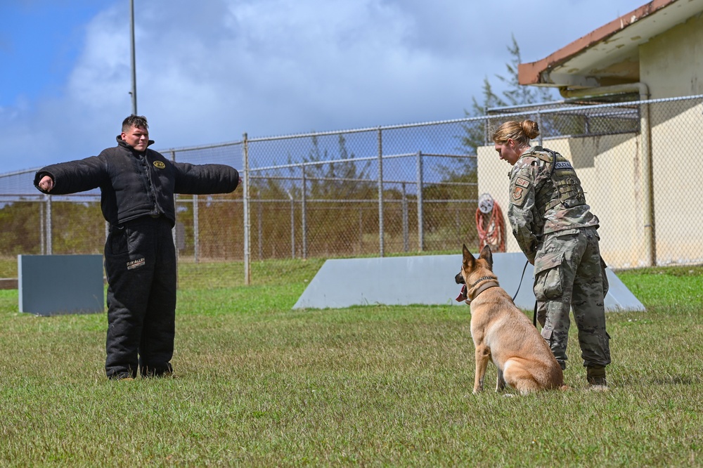 36 SFS preforms MWD demo during Pacific Defender