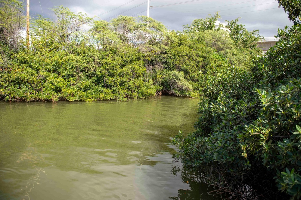 NAVFAC Contractors Prepare Granular Activated Carbon Filter Systems for Red Hill Well Recovery
