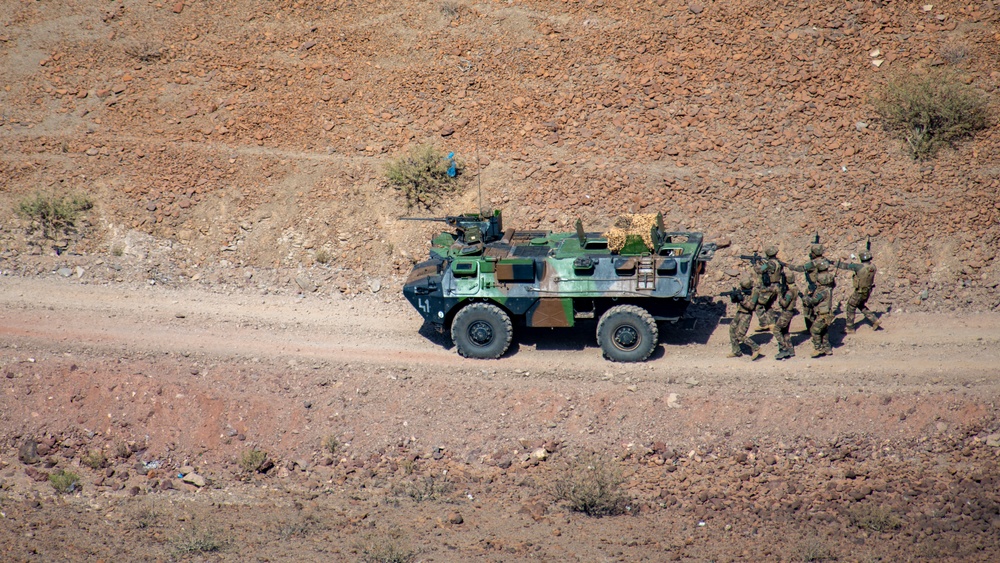 U.S. joins in French-hosted ground, air capabilities display in Djibouti