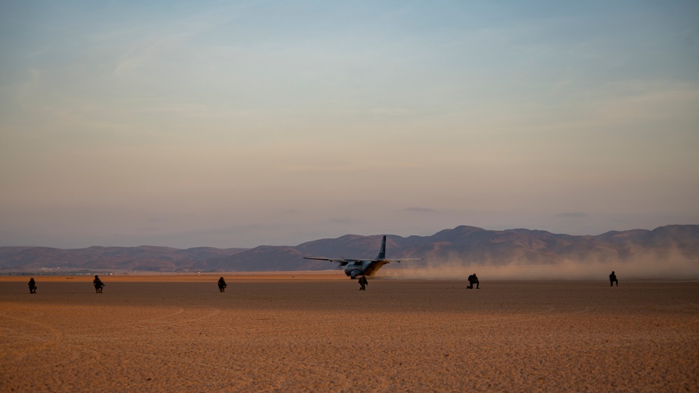 U.S. joins in French-hosted ground, air capabilities display in Djibouti