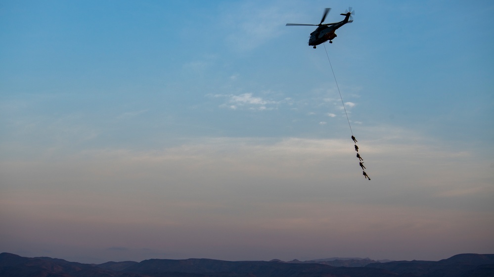 U.S. joins in French-hosted ground, air capabilities display in Djibouti