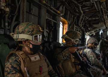 Iron Dragon 22-1 | Combat Logistics Regiment 37 conducts regimental exercise