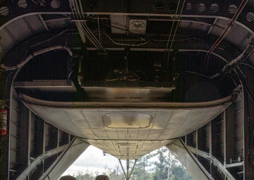 Iron Dragon 22-1 | Combat Logistics Regiment 37 conducts regimental exercise