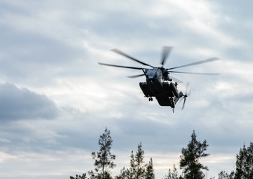 Iron Dragon 22-1 | Combat Logistics Regiment 37 conducts regimental exercise