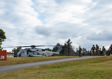 Iron Dragon 22-1 | Combat Logistics Regiment 37 conducts regimental exercise
