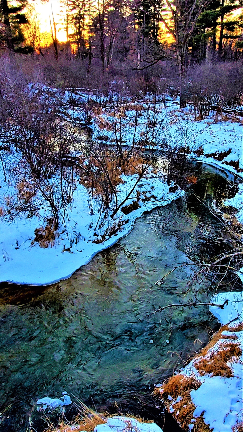 2022 early catch, release trout season now open in Wisconsin, Fort McCoy